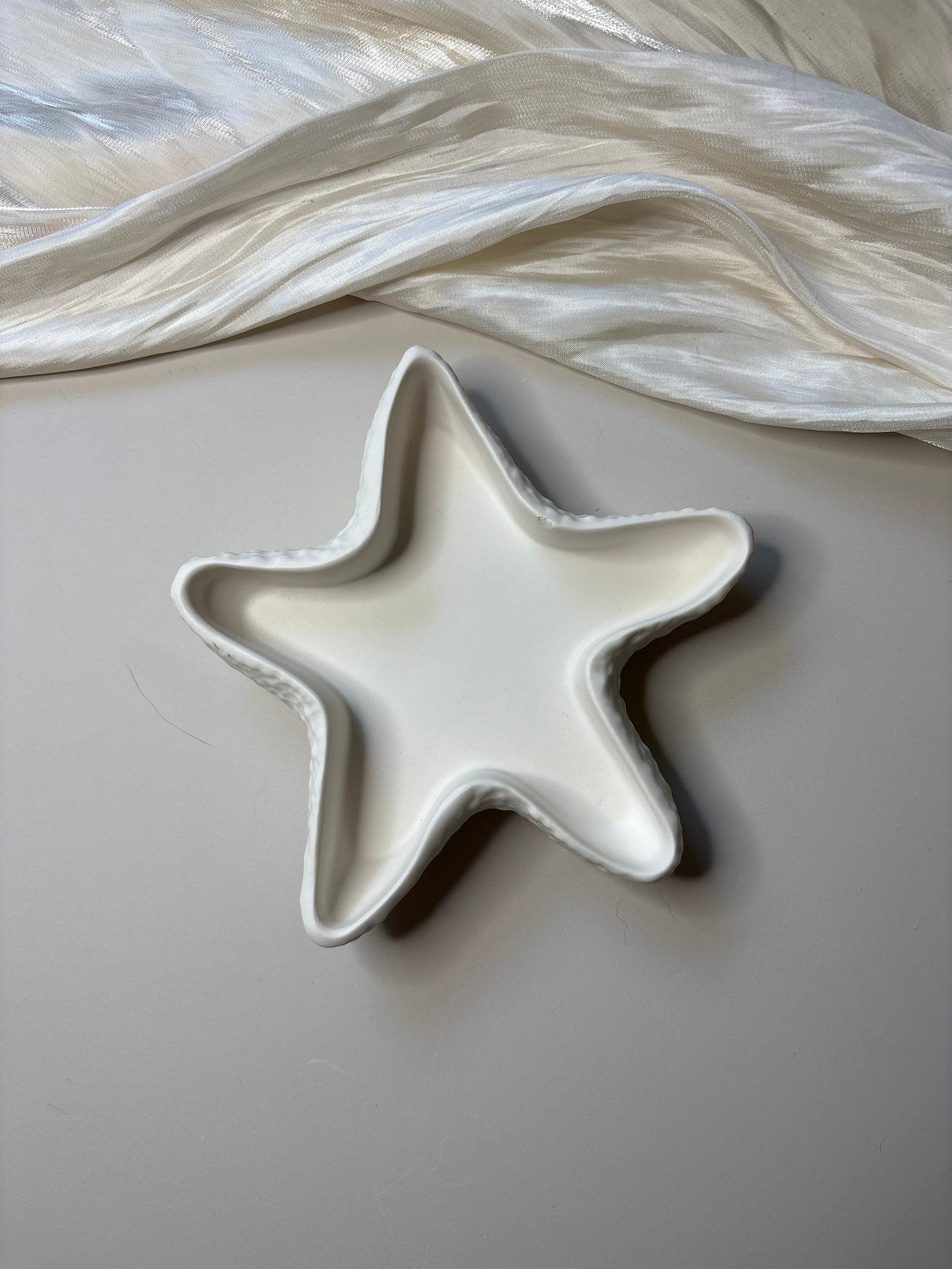 Starfish Dish