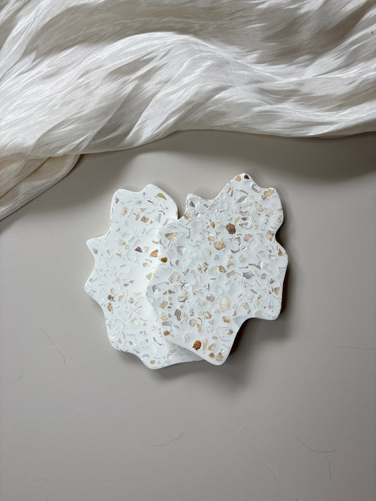 Seashell Coasters